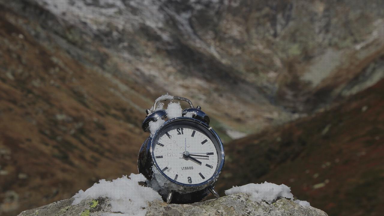 Los 14 Mejores relojes alpinas