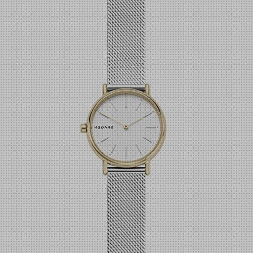 Los mejores 27 Relojes De Mujeres Skagen Skw 2729 De Aceros