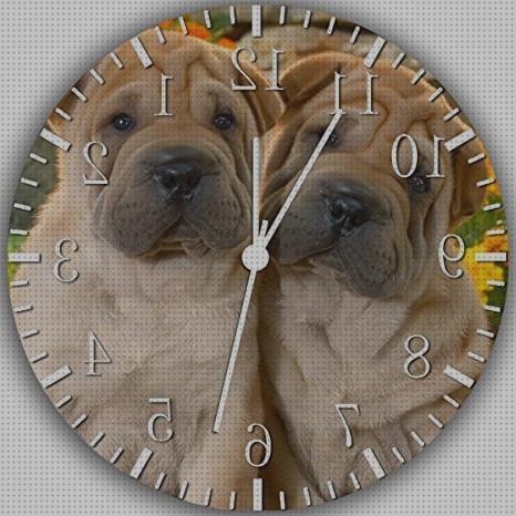 Las mejores marcas de reloj de pared con perro shar pei