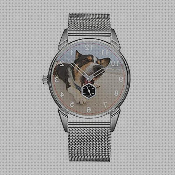 Las mejores reloj de perros hombre radaint 08001 reloj mujer reloj azul hombre muleca reloj de perros marca de hombre