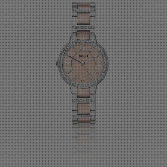 Las mejores reloj fossil mujer 10 atm ch 2791 reloj fossil reloj fossil mujer 10 atm ch 2791 1106