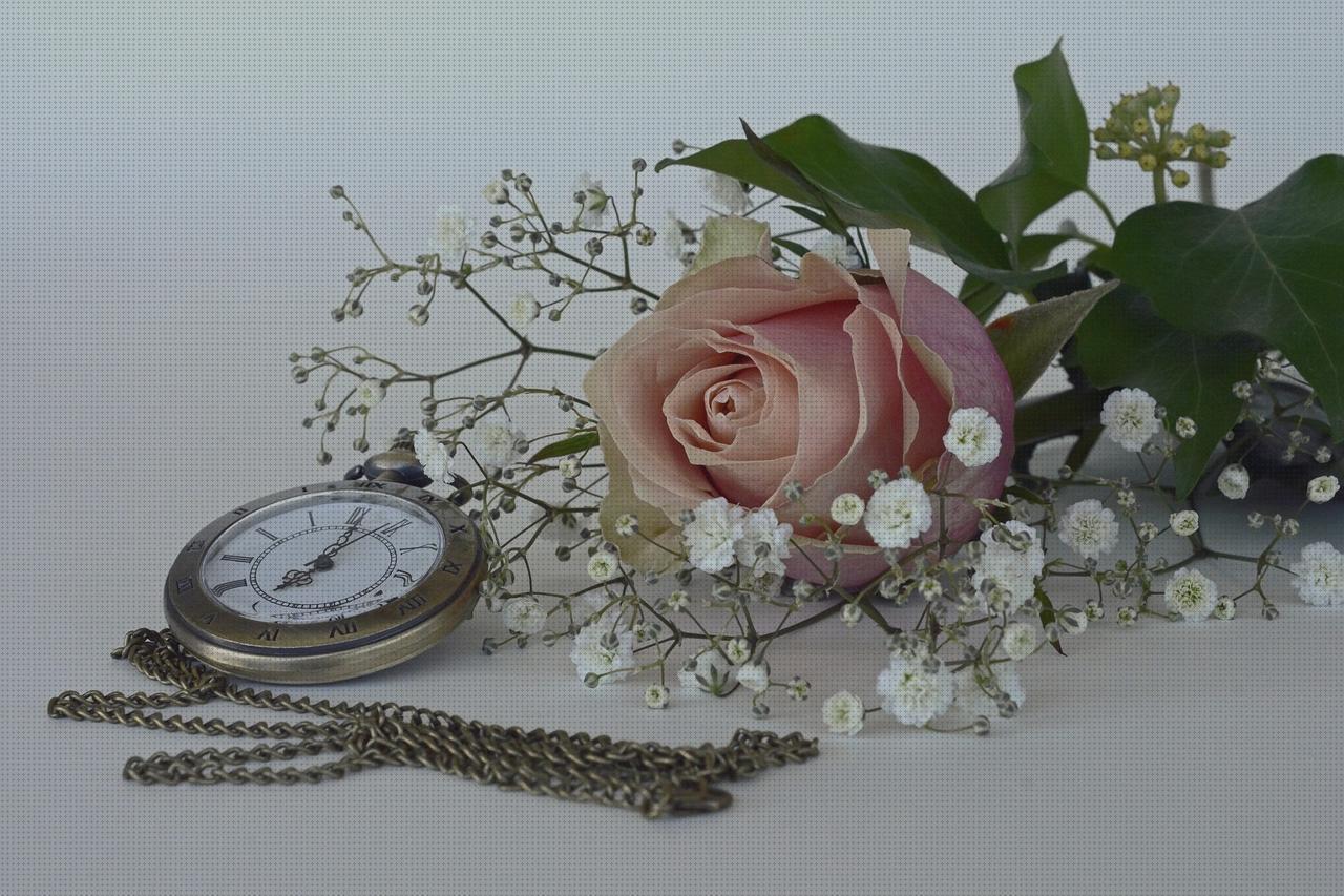 Las mejores marcas de relojes rosas relojes amazon otros colores hb 230 1 34 2718 1148 489 relojes amazon pared relojes rosa claro mujer